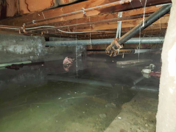 Best Flooded house restoration  in Prairie View, TX
