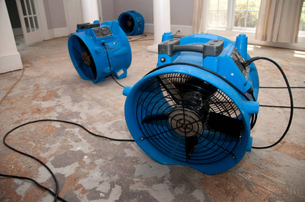 Best 24-hour water damage restoration  in Prairie View, TX